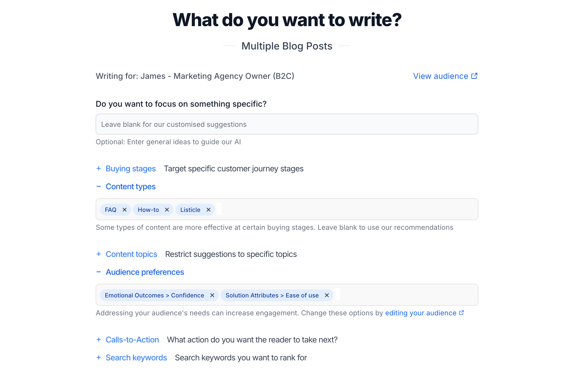 Wizard setup for audience personas